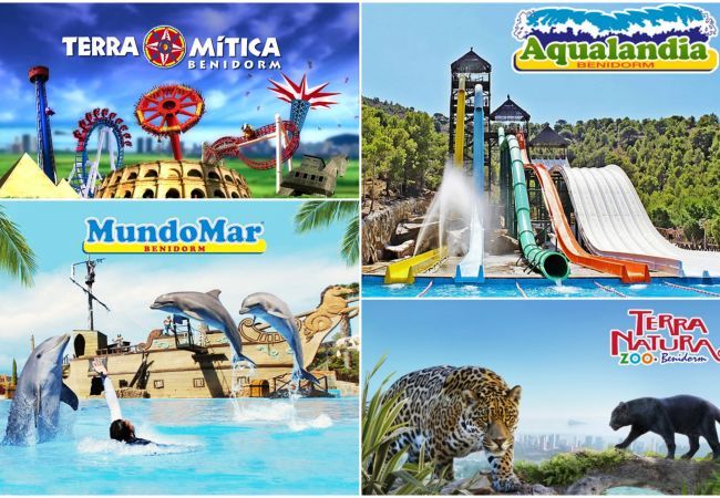 Ferienwohnung in Benidorm - Suite on the Beach First Line Ferienwohnung in Benidorm - Suite on the Beach First Line