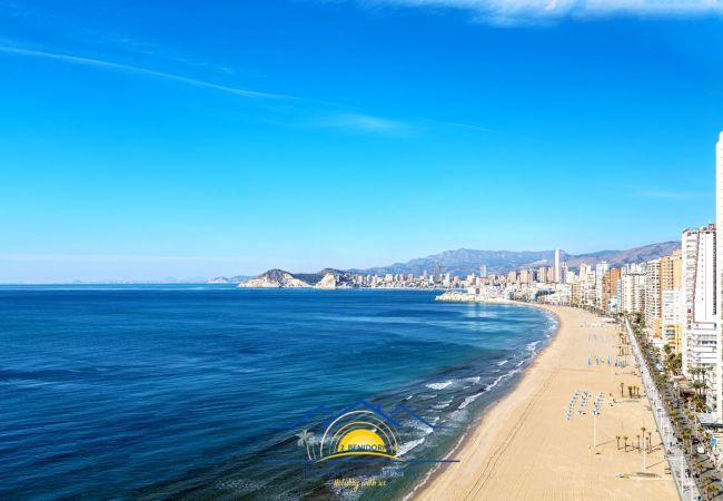 Ferienwohnung in Benidorm - Suite on the Beach First Line Ferienwohnung in Benidorm - Suite on the Beach First Line
