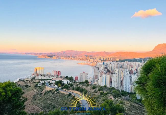 Ferienwohnung in Benidorm - Victoria Apartment Ferienwohnung in Benidorm - Victoria Apartment