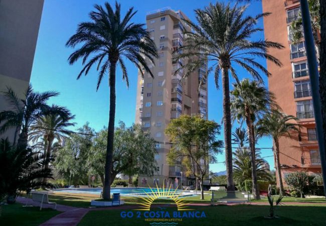 Ferienwohnung in Benidorm -  Apartamento Torre VII