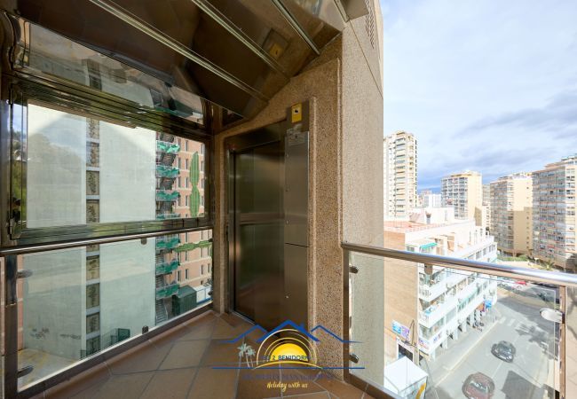 Ferienwohnung in Benidorm - Doro Seaview Apartment Ferienwohnung in Benidorm - Doro Seaview Apartment