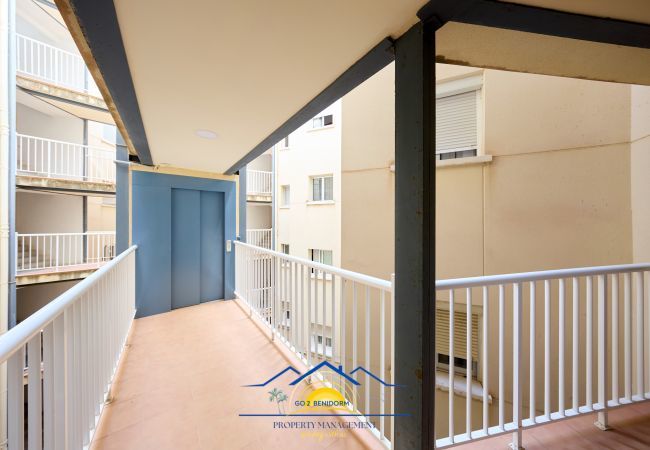 Ferienwohnung in Benidorm - Oasia Ferienwohnung in Benidorm - Oasia