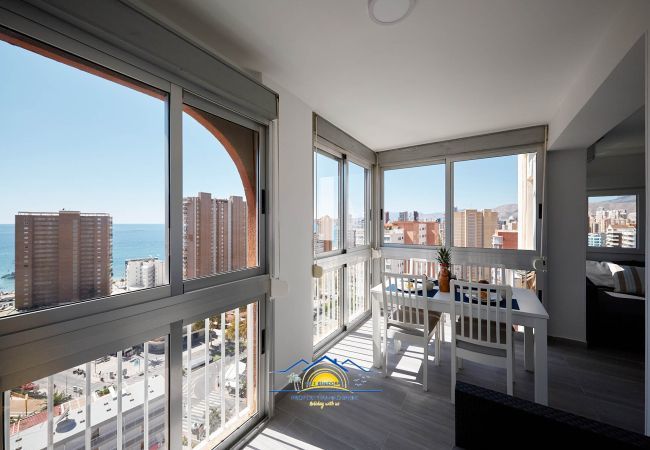 Ferienwohnung in Benidorm - LadyBird Seaview Ferienwohnung in Benidorm - LadyBird Seaview