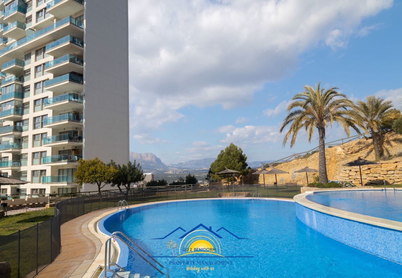 Ferienwohnung in Benidorm - Palma Lugano