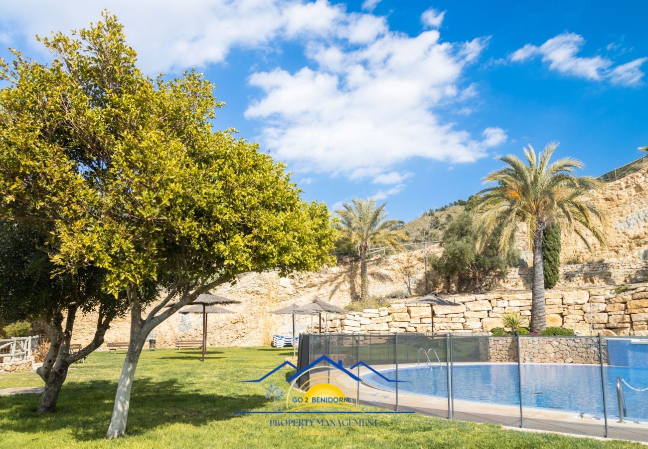 Ferienwohnung in Benidorm - Palma Lugano