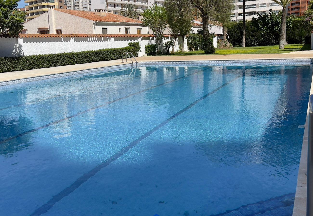 Ferienwohnung in Benidorm - Sunflower