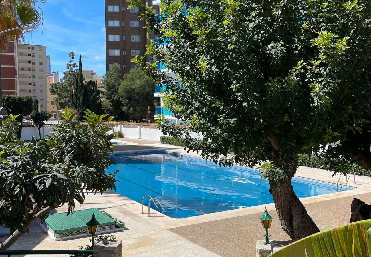 Ferienwohnung in Benidorm - Sunflower