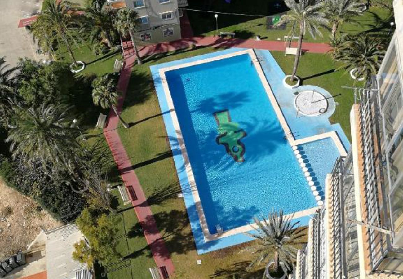 Ferienwohnung in Benidorm -  Apartamento Torre VII