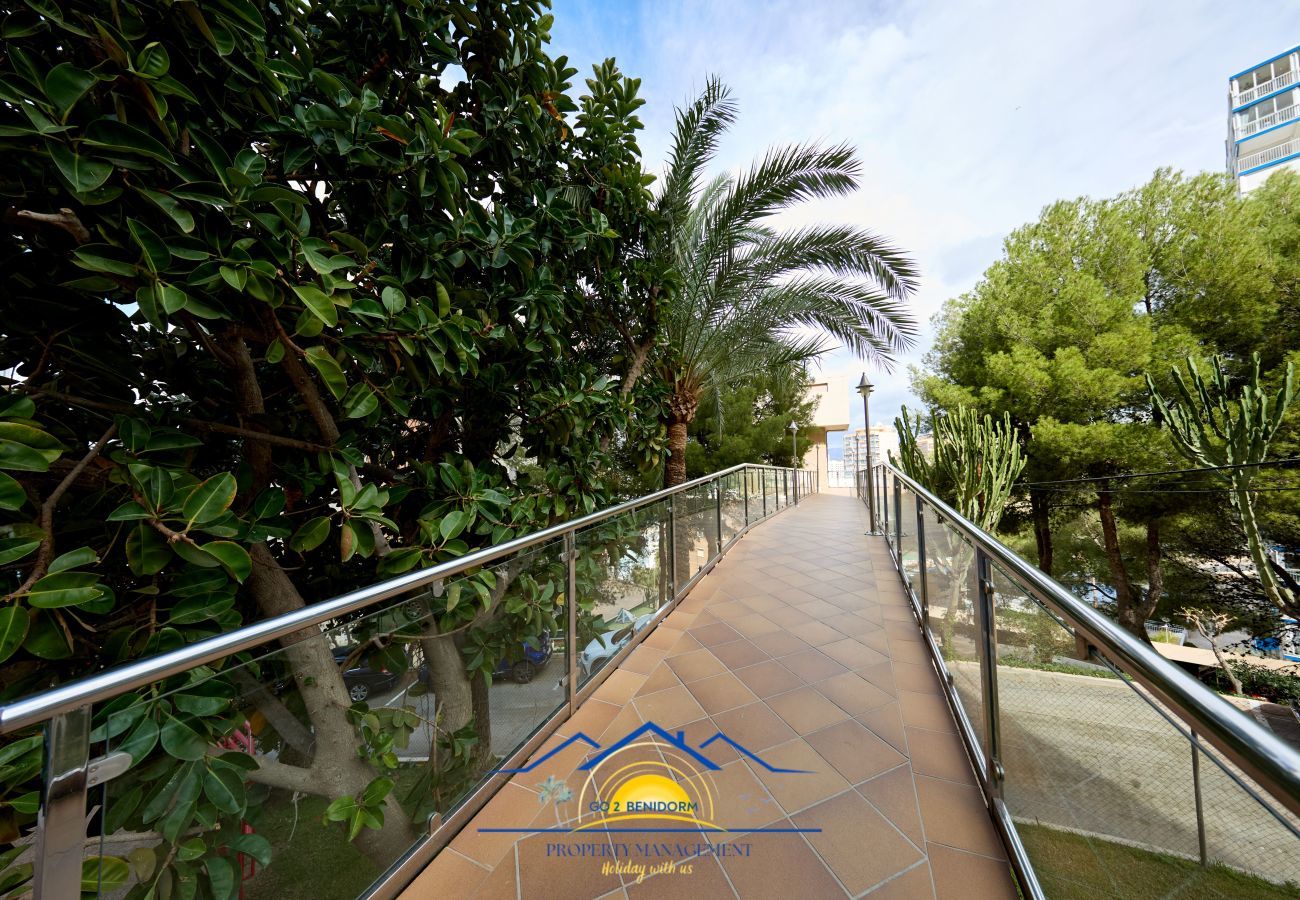 Ferienwohnung in Benidorm - Doro Seaview Apartment