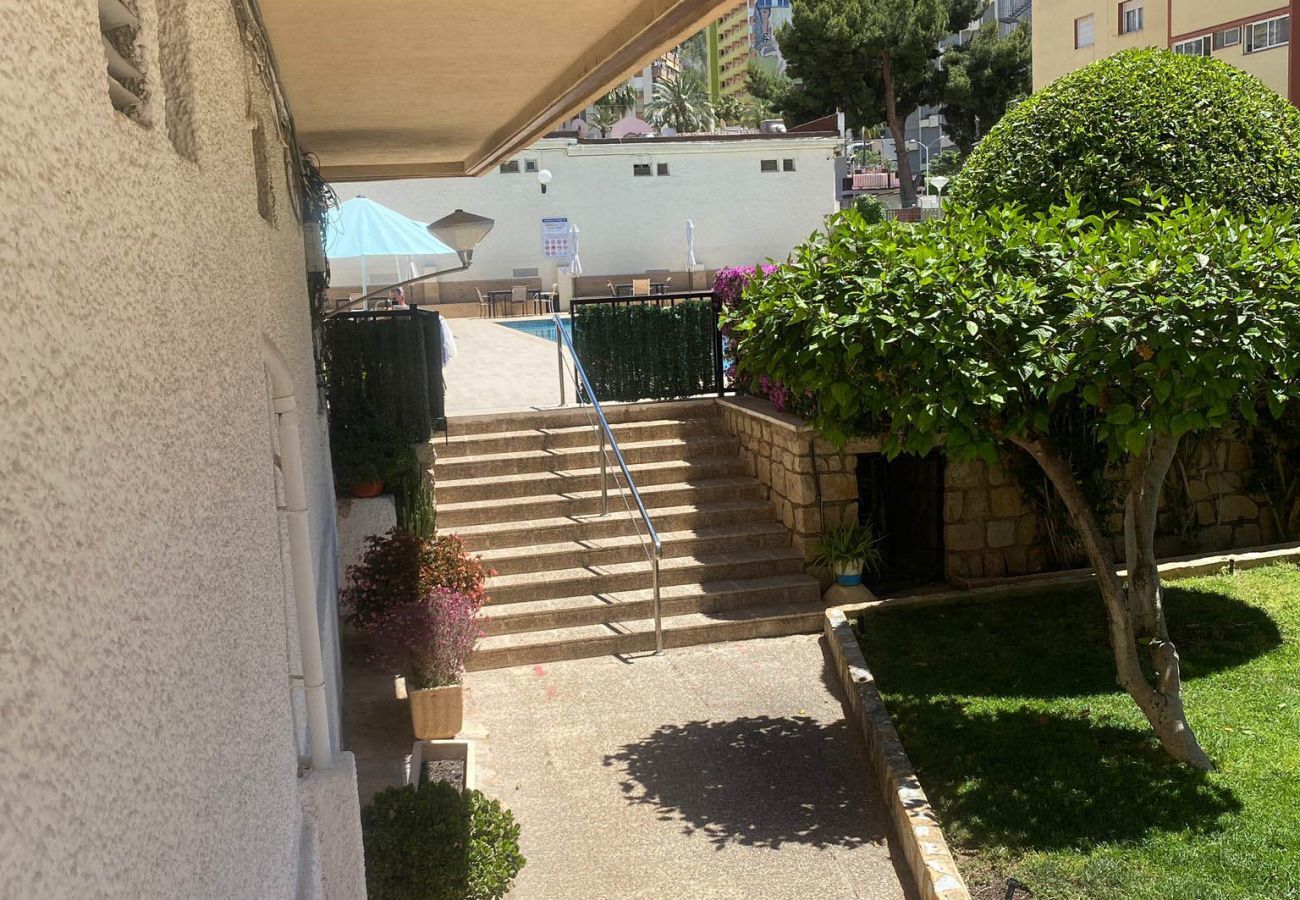 Ferienwohnung in Benidorm - Sea Pearl Benidorm