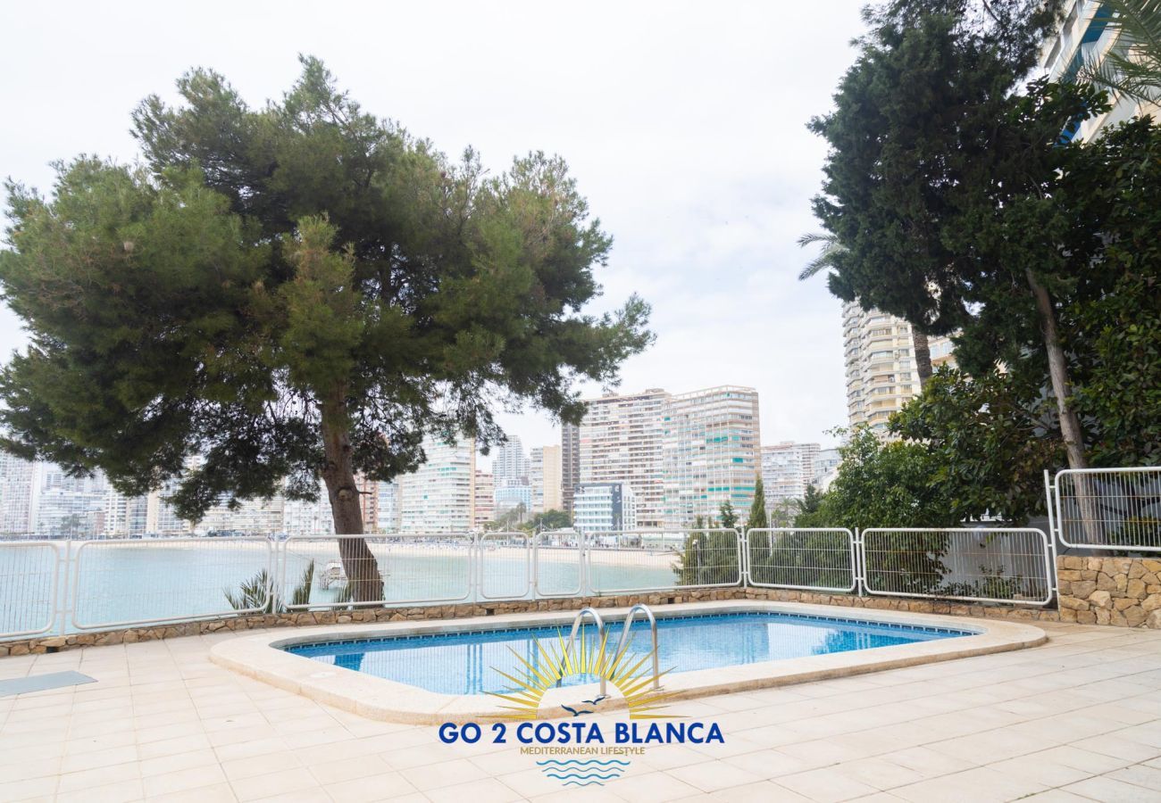 Apartamento en Benidorm -  Blue Bay