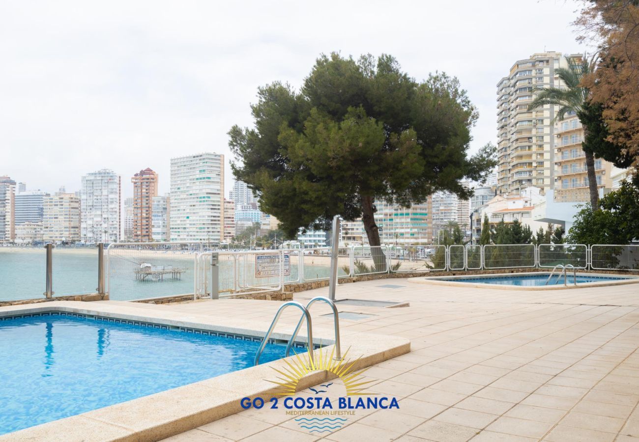 Apartamento en Benidorm -  Blue Bay