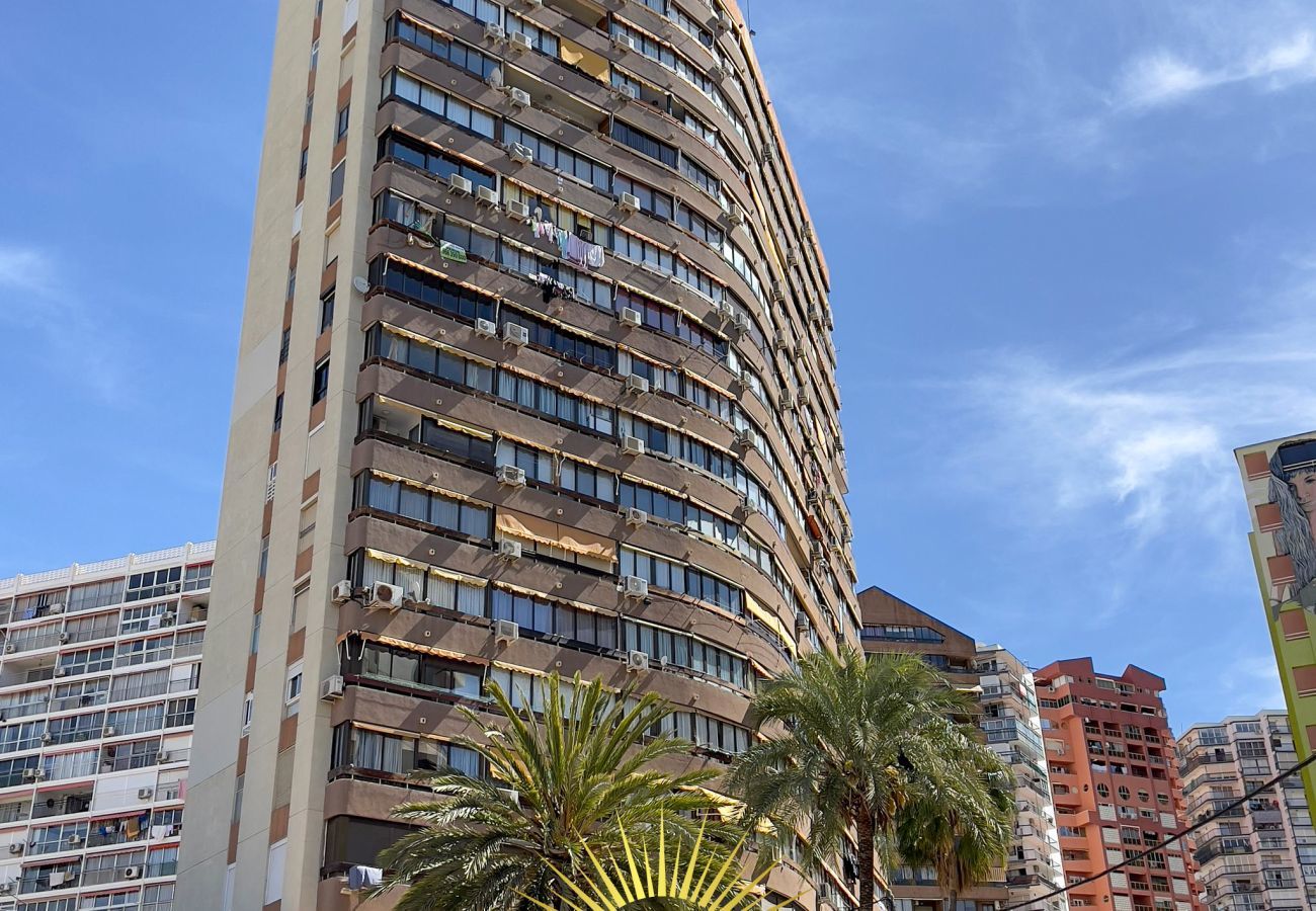 Apartamento en Benidorm - Sunflower