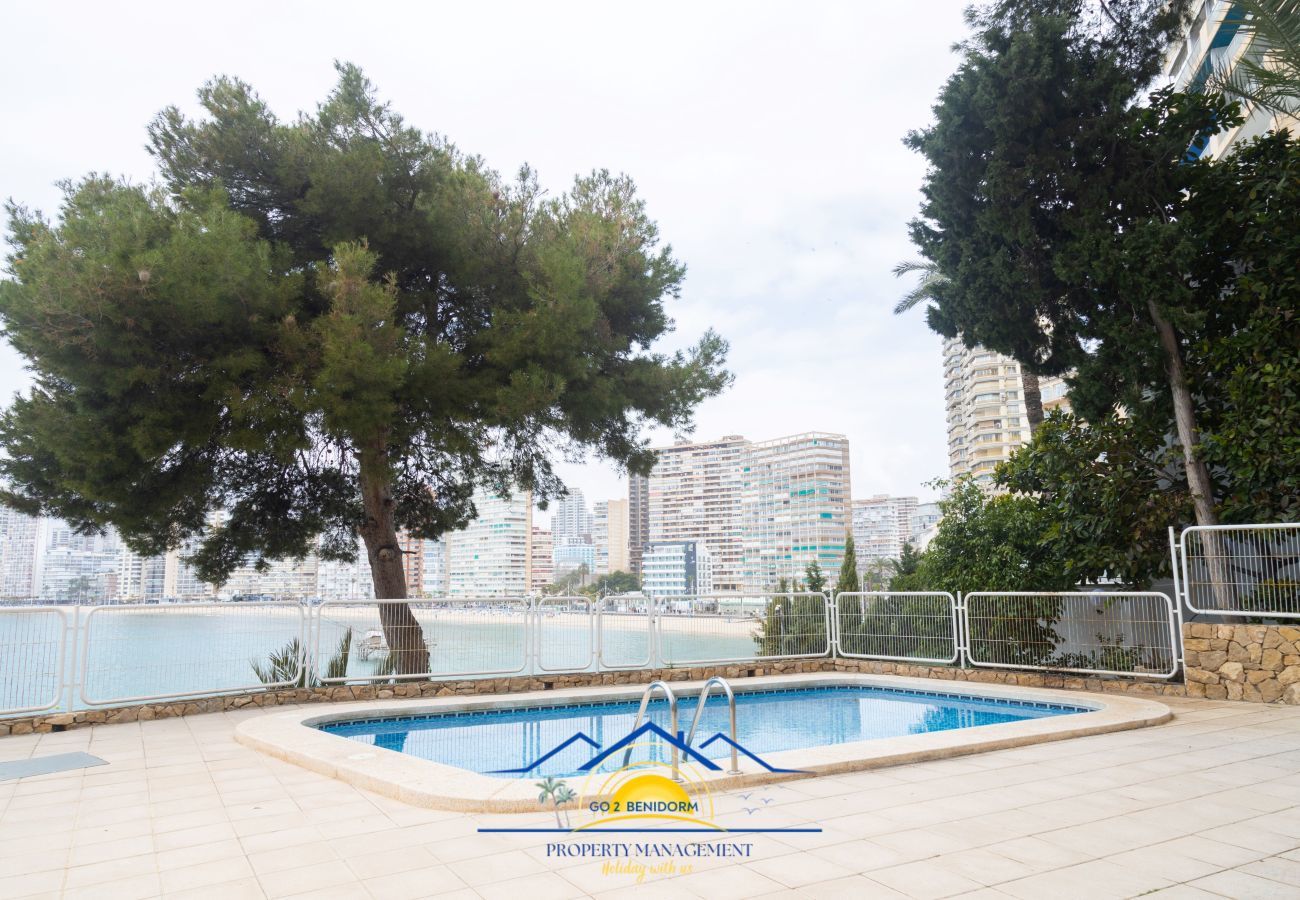 Apartamento en Benidorm -  Carpe Diem 9