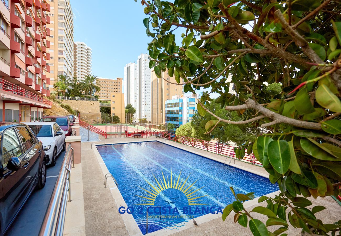 Apartamento en Benidorm - Doro Seaview Apartment