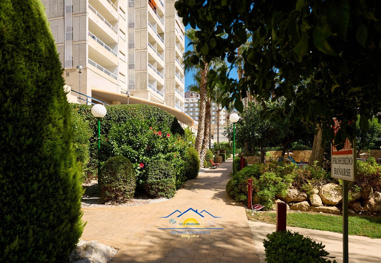 Apartamento en Benidorm - Valentine SeaView
