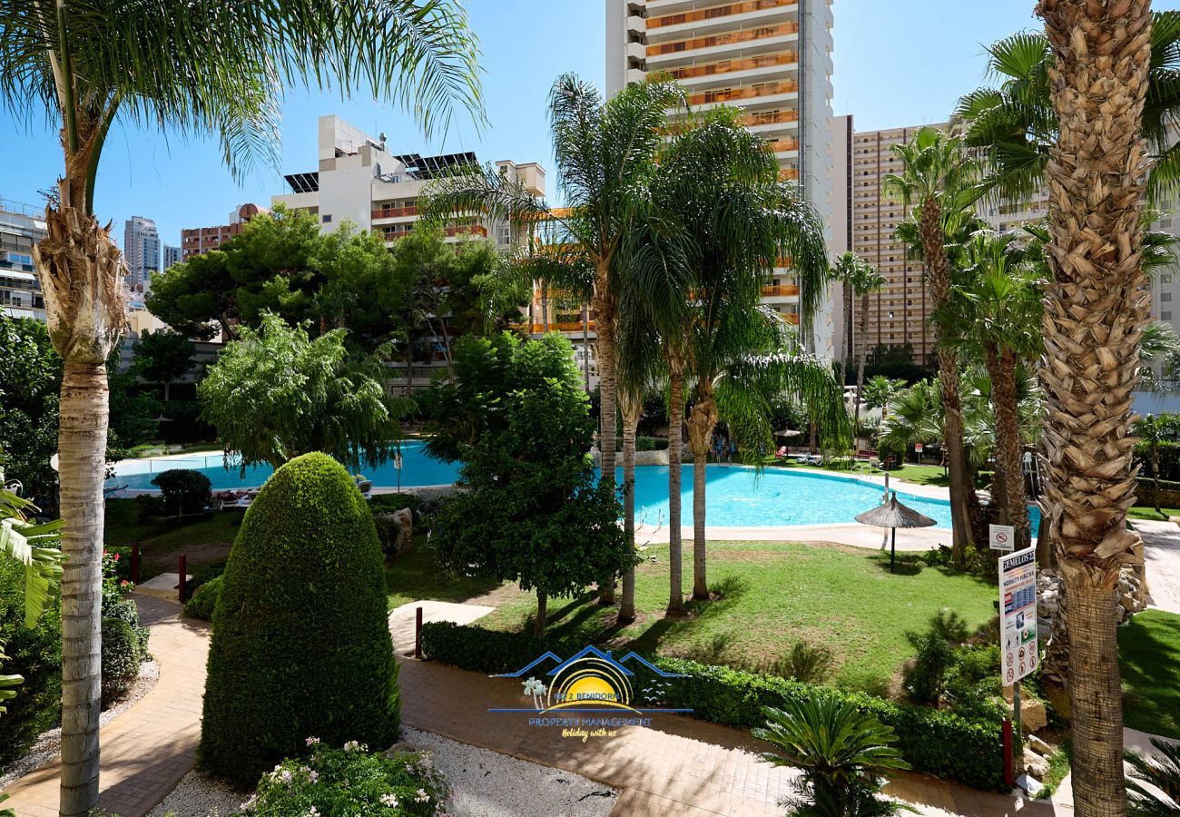 Apartamento en Benidorm - Valentine SeaView