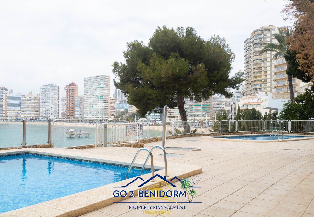 Appartement à Benidorm -  Blue Bay