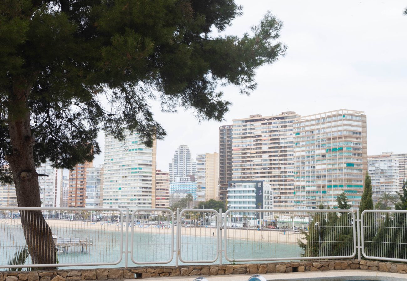 Appartement à Benidorm -  Blue Bay