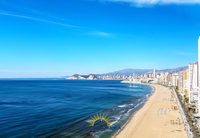 Apartment in Benidorm - Suite on the Beach First Line