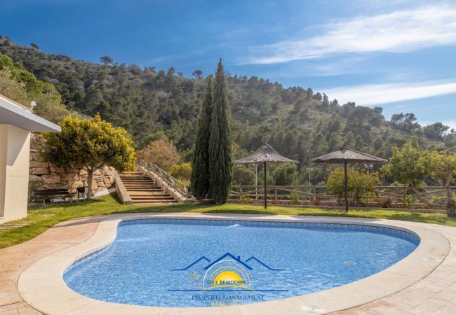 Apartment in Benidorm - Palma Lugano Apartment in Benidorm - Palma Lugano