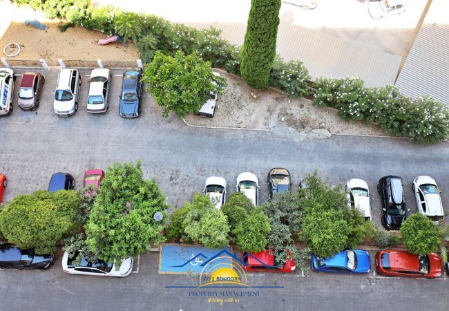 Apartment in Benidorm - Manhattan View Apartment in Benidorm - Manhattan View