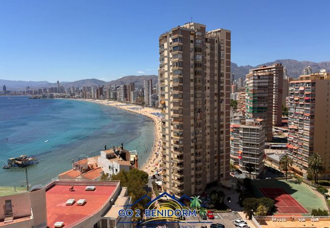 Apartment in Benidorm - Halcon Dock
