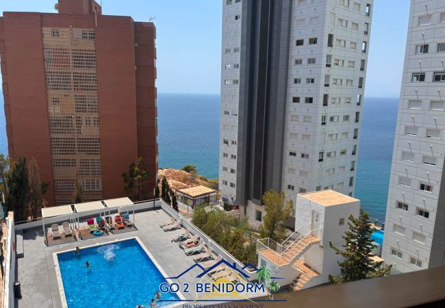 Apartment in Benidorm - Maya del Mar