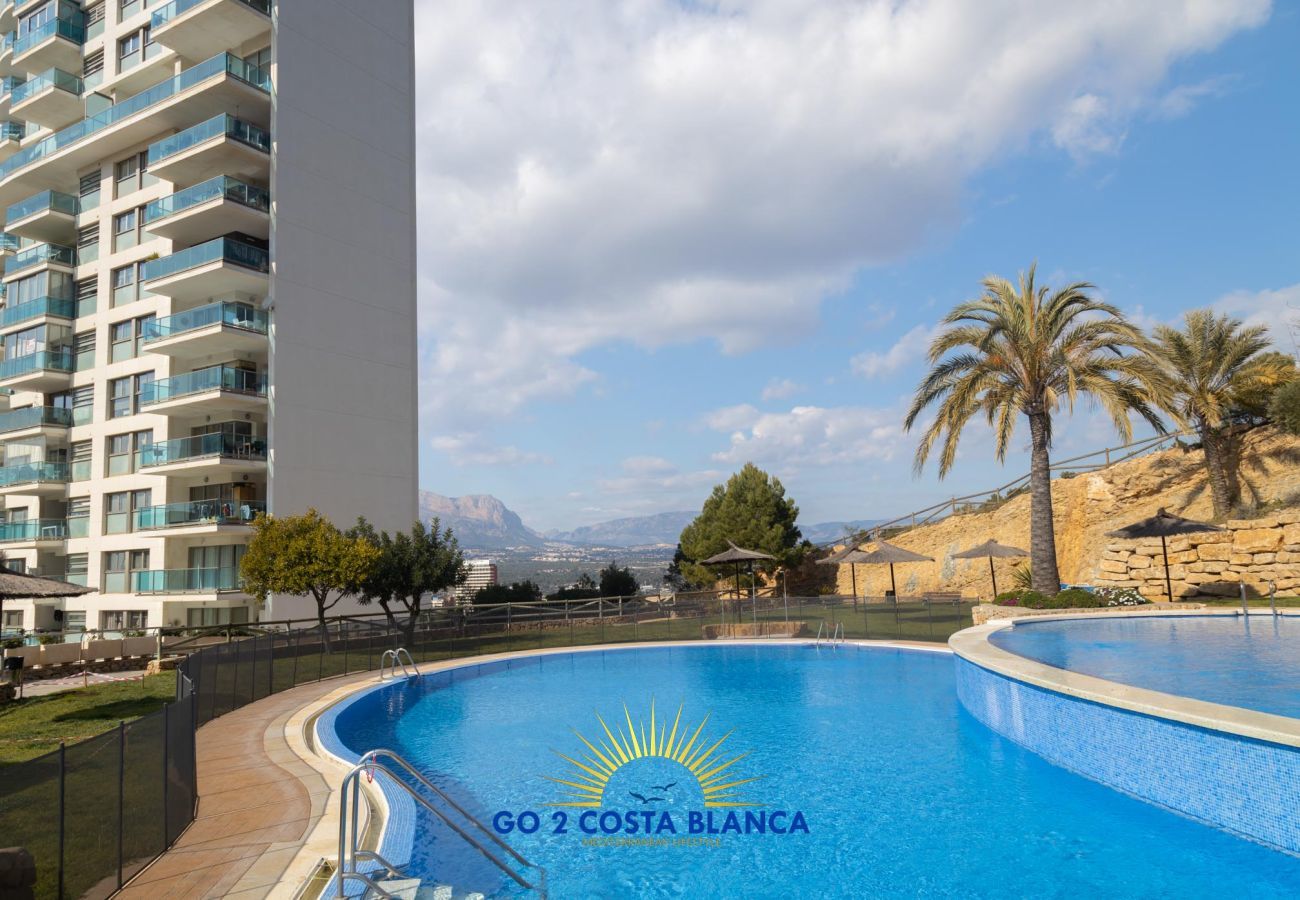 Apartment in Benidorm - Palma Lugano