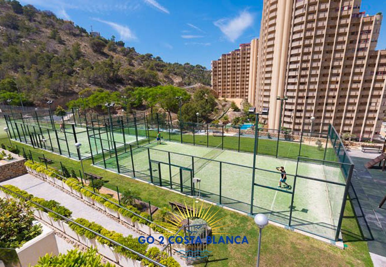 Apartment in Benidorm - Palma Lugano