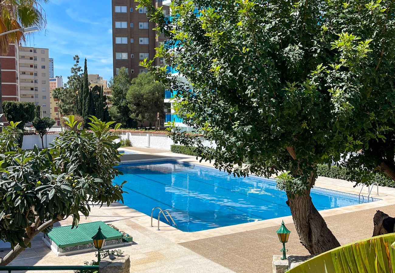 Apartment in Benidorm - Sunflower