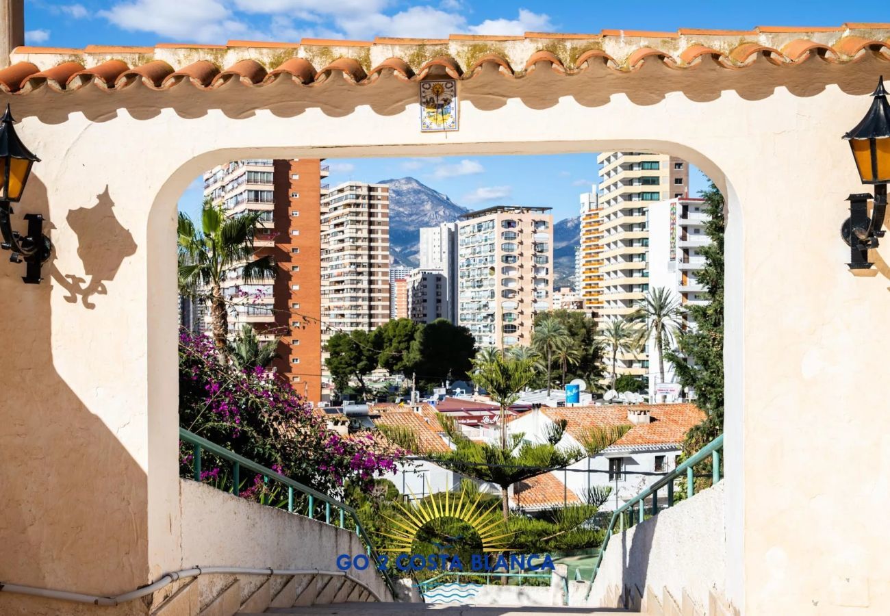 Apartment in Benidorm - Sunflower