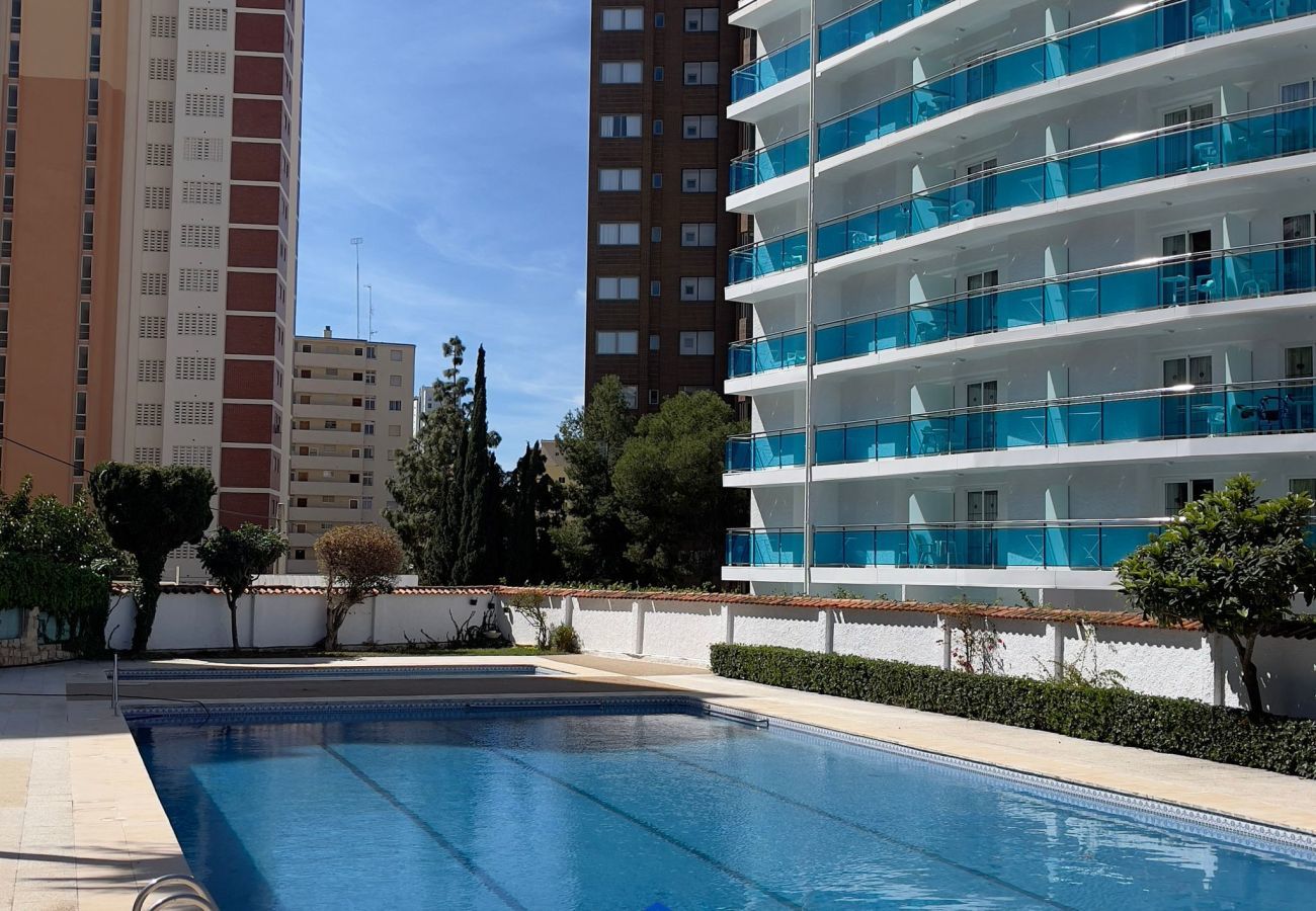 Apartment in Benidorm - Sunflower