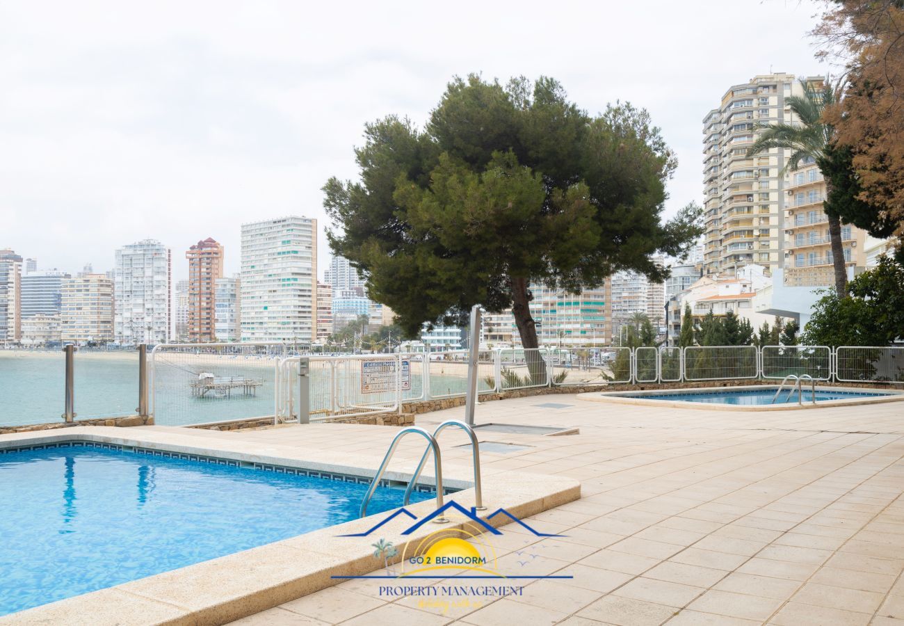 Apartment in Benidorm -  Carpe Diem 9