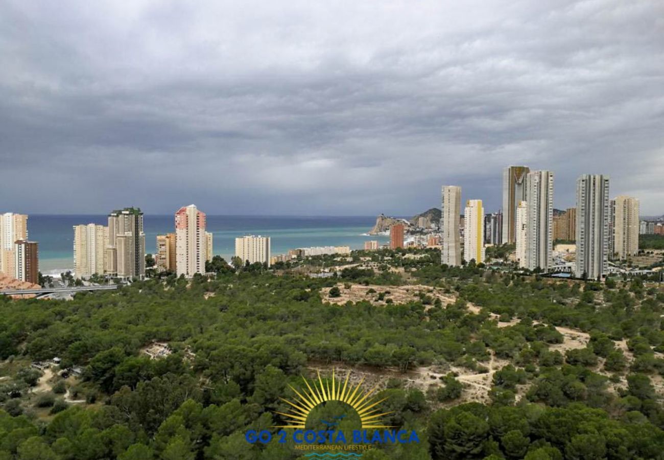 Apartment in Benidorm -  Apartamento Torre VII