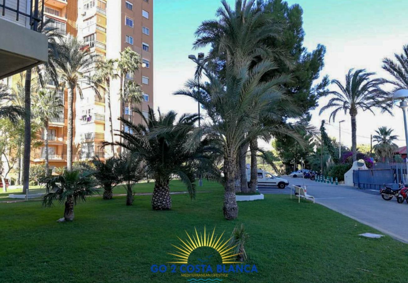 Apartment in Benidorm -  Apartamento Torre VII