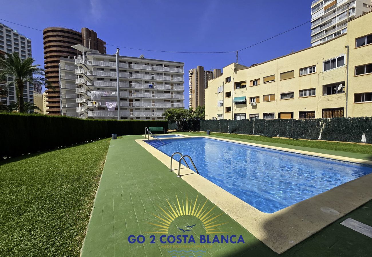 Apartment in Benidorm - LadyBird Seaview