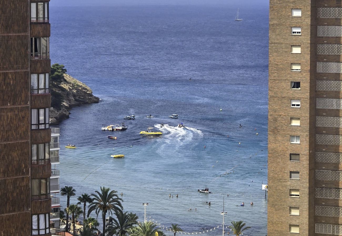 Apartment in Benidorm - LadyBird Seaview
