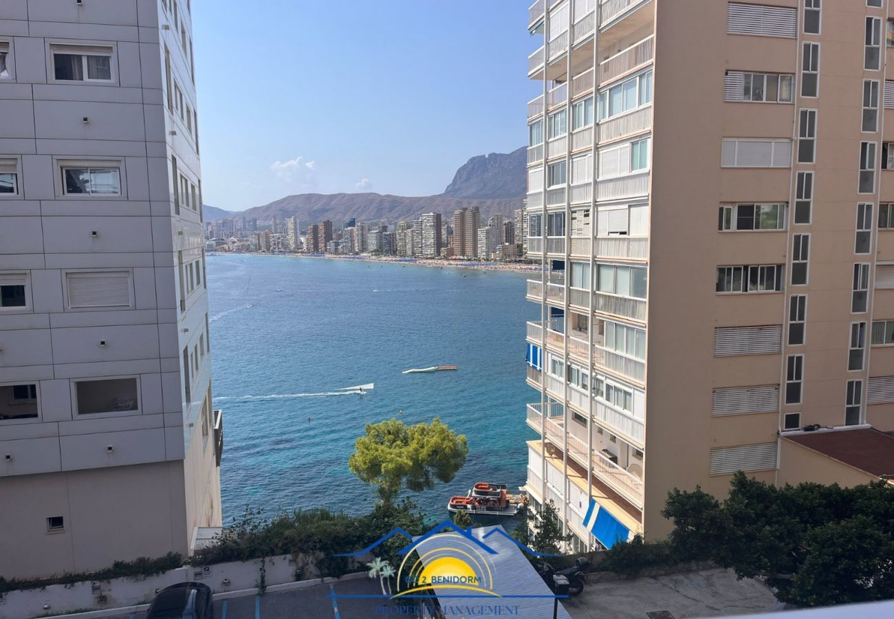 Apartment in Benidorm - La Luz de Benidorm