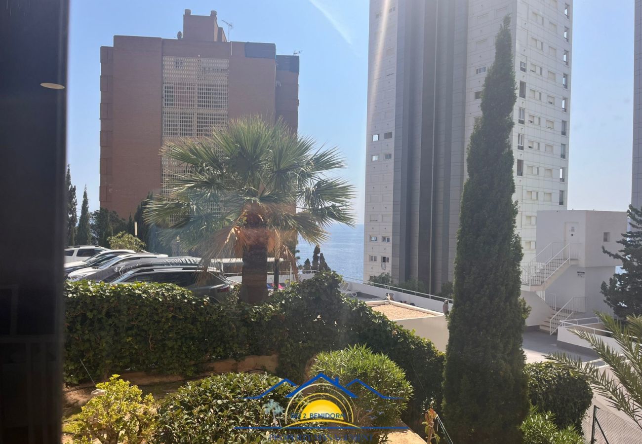 Apartment in Benidorm - La Luz de Benidorm