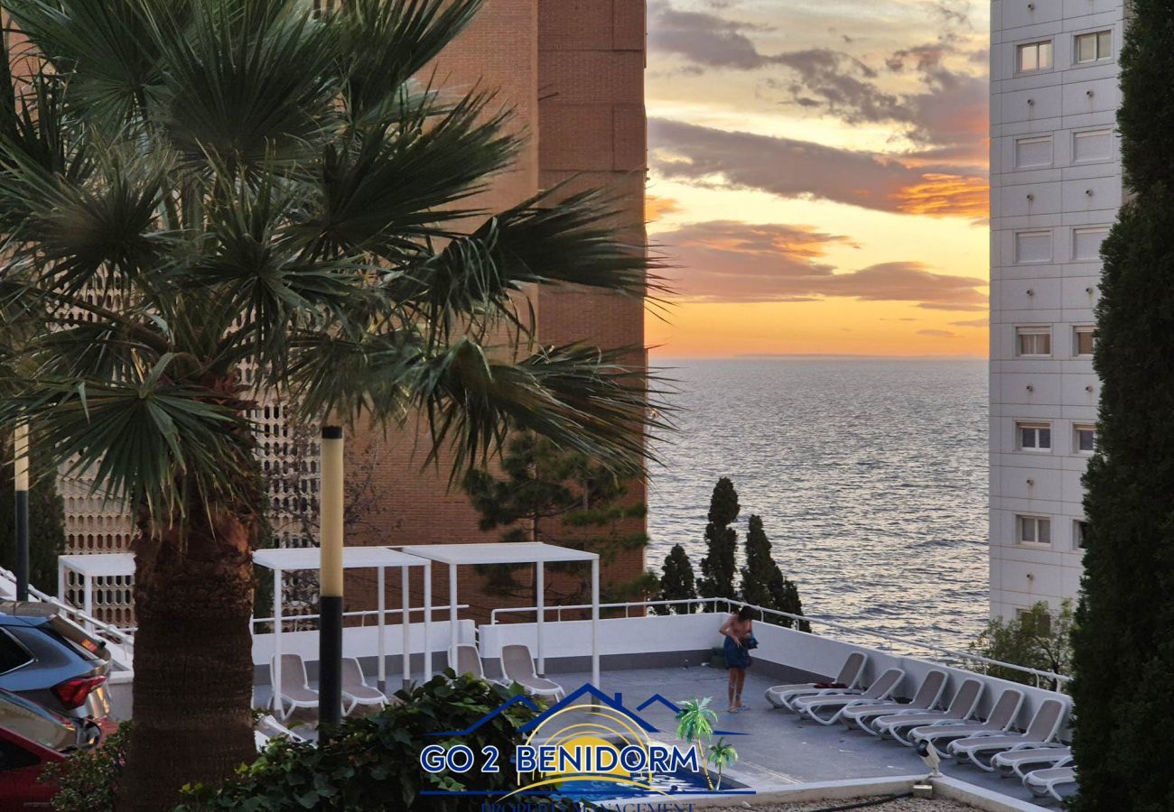 Apartment in Benidorm - La Luz de Benidorm