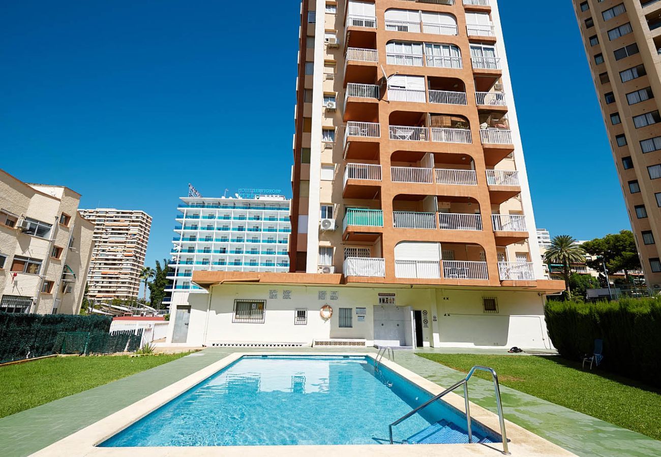 Apartment in Benidorm - LadyBird Seaview Apartment in Benidorm - LadyBird Seaview