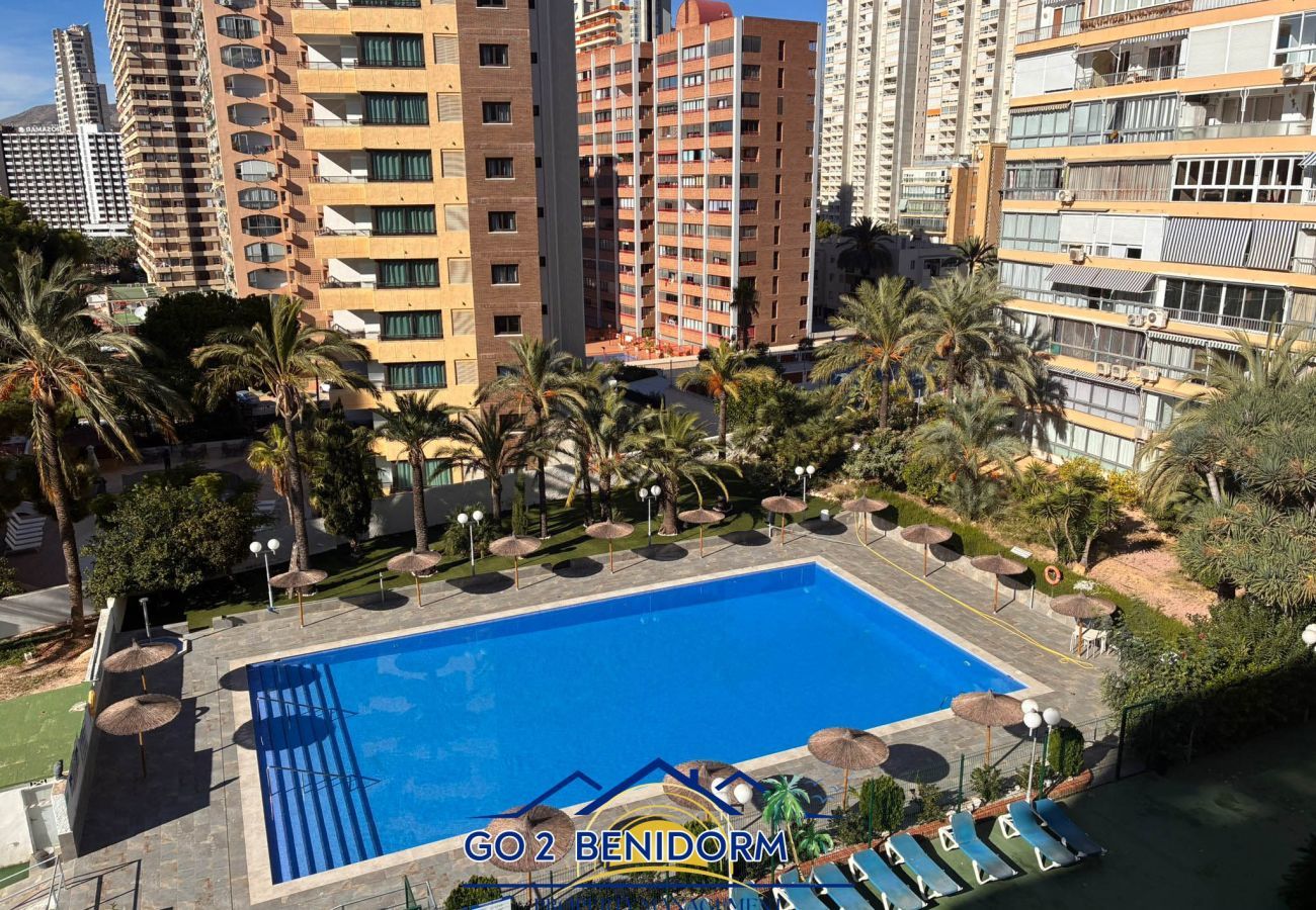 Apartment in Benidorm - Bermuda Vibes Benidorm Pool View Terrace