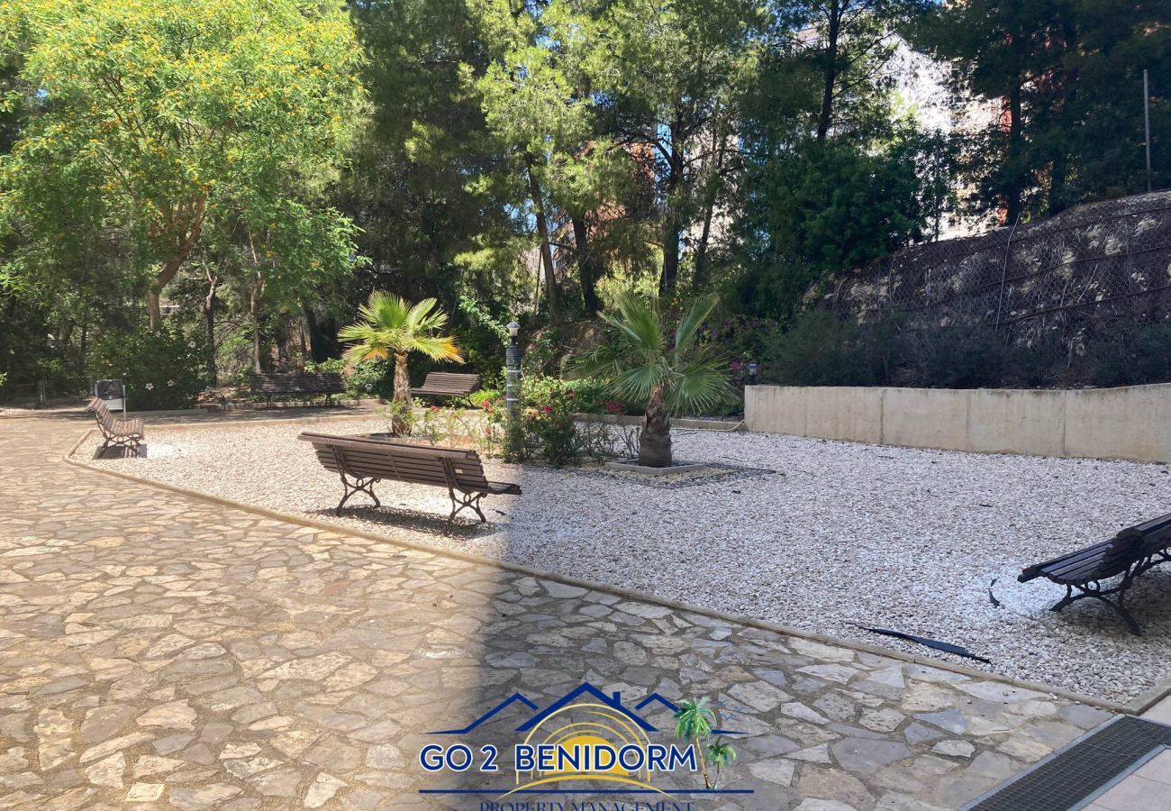 Apartment in Benidorm - Aurora