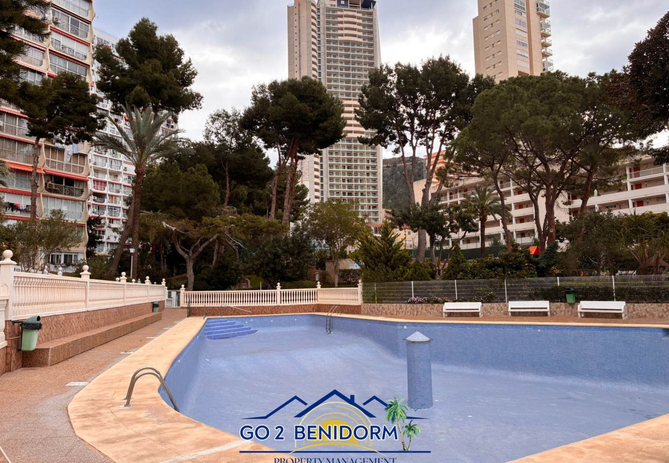 Apartment in Benidorm - Playmon Patrick